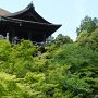 Kiyomizu-dera visto de baixo.