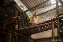 LUISA079